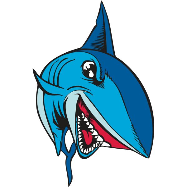 BAW SHARK 02 RC Thumbnail